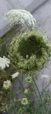 IMG_20240628_191154~2.webp