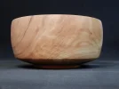 DSCN3552.webp