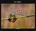 999...ruhig.webp