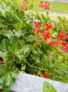 IMG_20240701_173548.webp