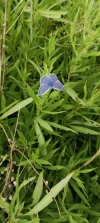 IMG_20240701_164759.webp