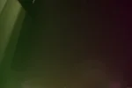 IMGP7517k.webp