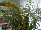 DSCN6351.JPG