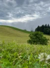 IMG_4085.jpeg