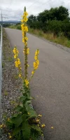 IMG_20240707_115147.webp