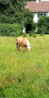 IMG_20240707_121401.webp