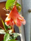 IMG_20240708_143644_HDR~2.webp