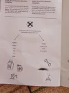 17204553169203530134476761340468.webp