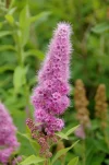 _IMGP6739k.webp