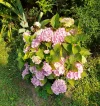 IMG_20240712_093908_HDR~2.webp