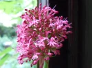 DSCN0027.webp