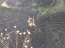 DSCN1831.webp