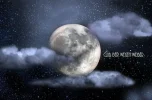 1cdwwxx.webp