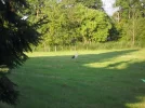 SAM_5061.webp
