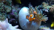 100_1606.webp
