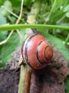 Bild 693.webp