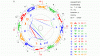 Sonnenstrahl radix.gif