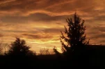 IMAG0803.webp