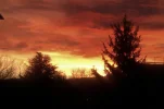 IMAG0804.webp