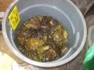 Bild 057.webp