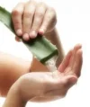 v1115.webp