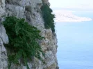 DSCI0019.webp