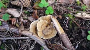 20140921_161707.webp
