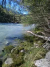 Bild 279.webp