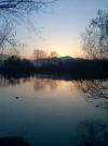 Bild 1627.webp