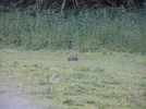 Bild 768.webp