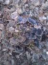 Bild 074.webp
