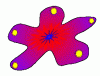 kosmBlumefertigmitEgo.gif