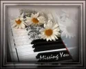 Missing you.webp
