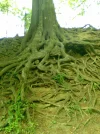 Bild 2173.webp