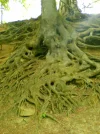 Bild 2174.webp