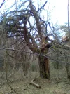 Bild 2350.webp