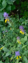 IMG_20240715_103409.webp