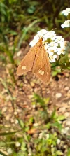 IMG_20240715_113649.webp