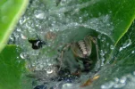 _IMGP7084_c2.webp