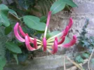 DSCN0071.webp