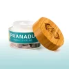 Pranadu_1.webp