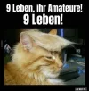 999 leben.webp