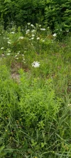 IMG_20240720_091853.webp