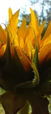 IMG_20240715_114146.webp