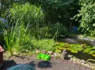 IMG_4829.webp