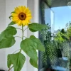 20240721_133630.webp