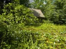 DSCN6359.webp