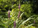 DSCN6357.webp