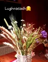 20240721_230534.webp