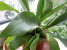 DSCN0076.webp
